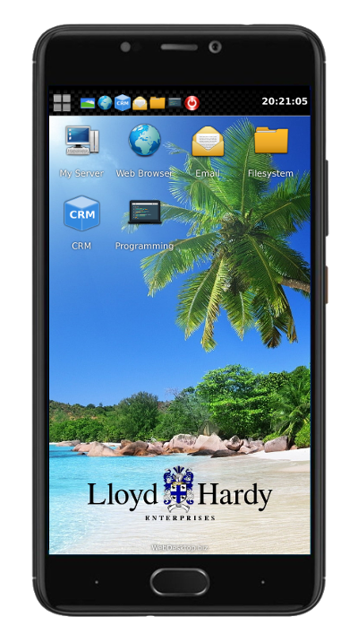 Mobile ERP